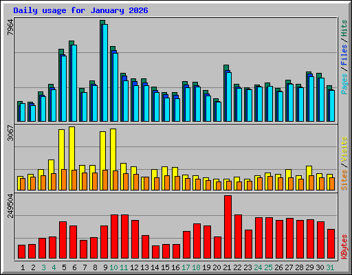 Daily usage for January 2026