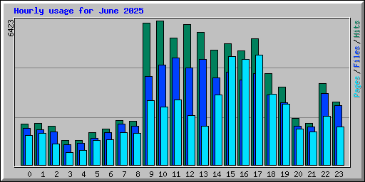 Hourly usage for June 2025