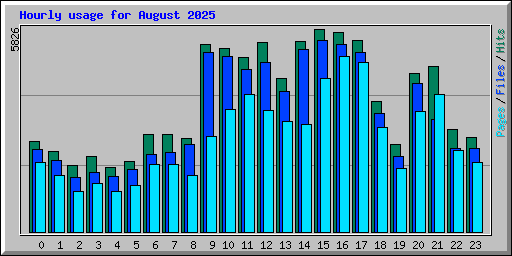Hourly usage for August 2025