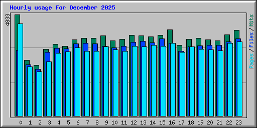 Hourly usage for December 2025