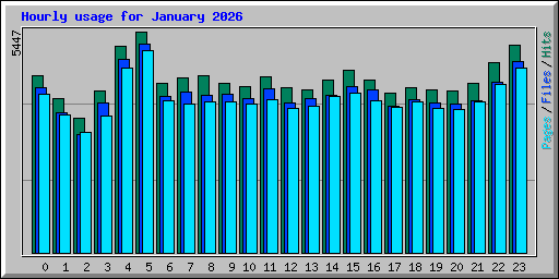 Hourly usage for January 2026