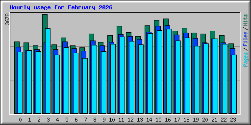 Hourly usage for February 2026