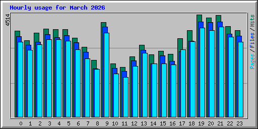 Hourly usage for March 2026
